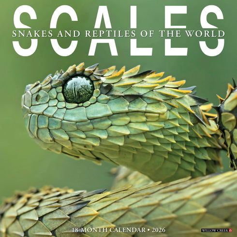 2026 SCALES  WALL CALENDAR